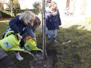 Plantation d'un pommier